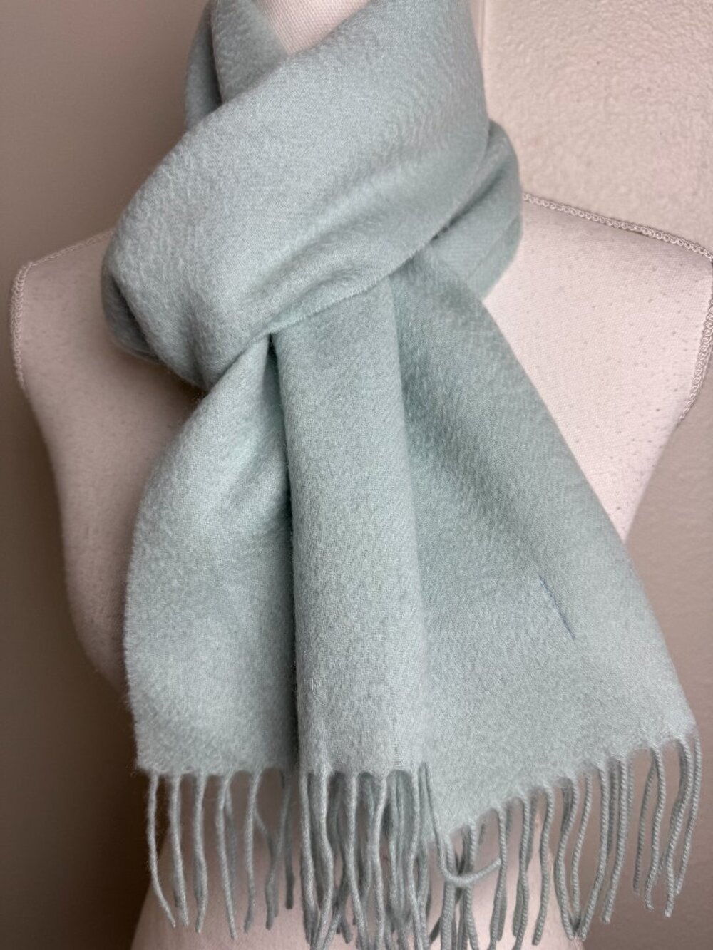 Himalaya 100% Cashmere Scarf Fringe Mint Green Unisex